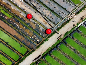 江西南昌：智能化育秧场开足马力运秧苗