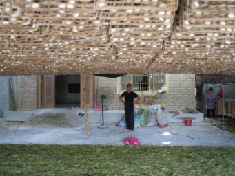 河池“技改强桑”助农增收