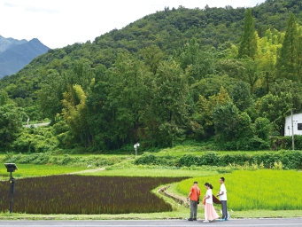 “世界最佳旅游乡村”——​浙江省湖州市安吉县余村