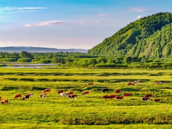 内蒙古呼伦贝尔：积极探索“林旅+”融合发展