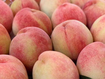 水蜜桃“顶流”上市，成都龙泉驿优质水蜜桃供不应求