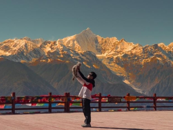 宠物友好型场景花式“上新” 携宠出游成新风潮